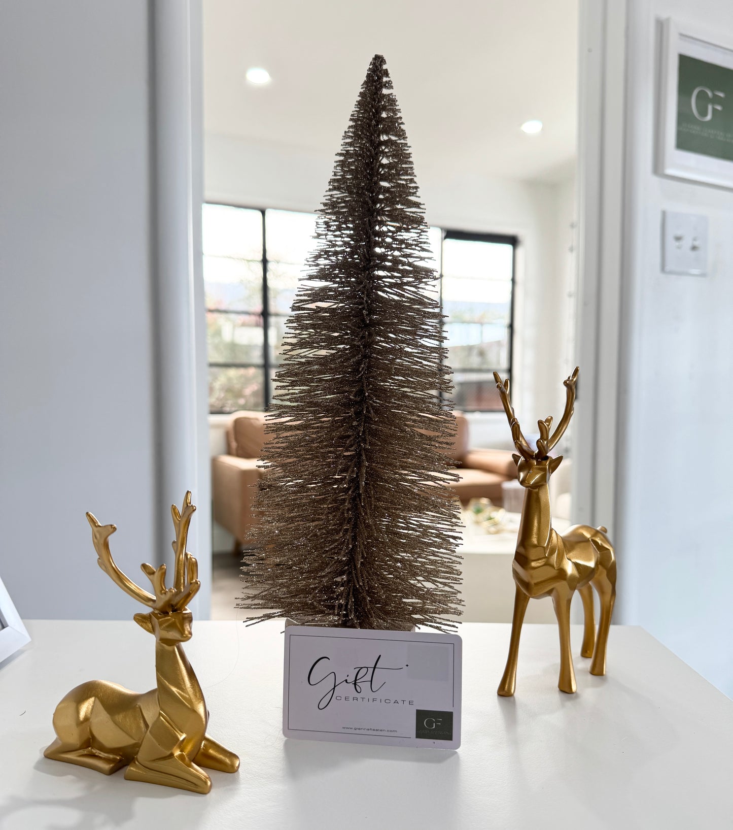 Gianna Flaaten Aesthetics Gift Card